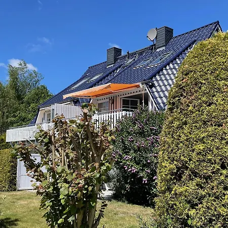 An De Baek Darssnest